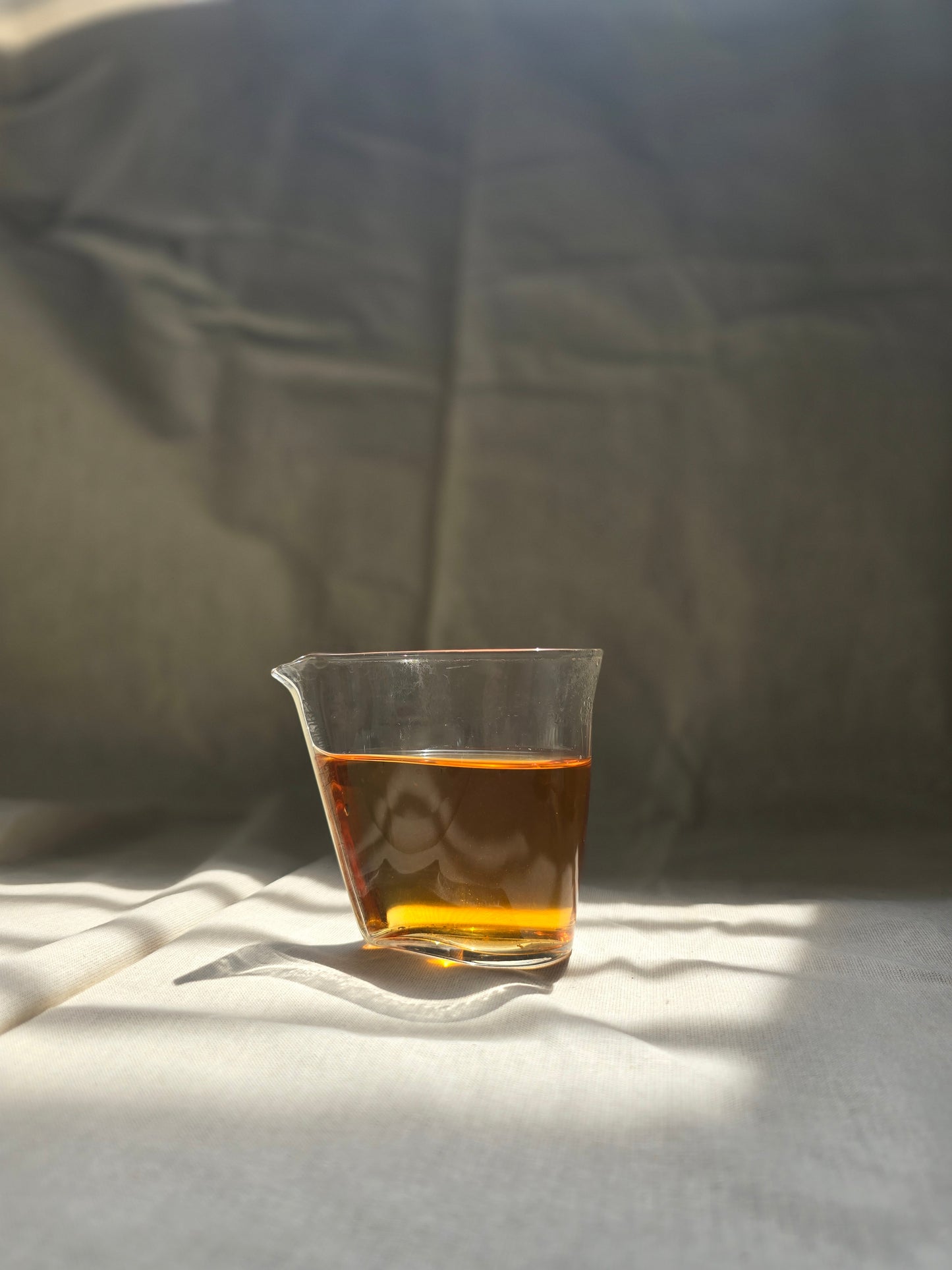 (Restocked) 2023 Da Hong Pao (2023 DHP)