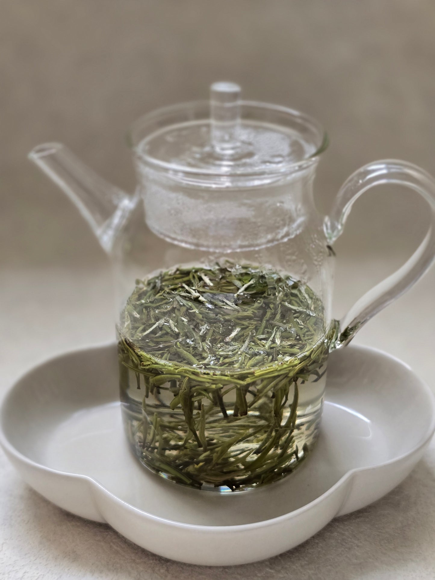 The Taster's Collection (Lush - Spring's Finest Greens) - 10% off upon checkout