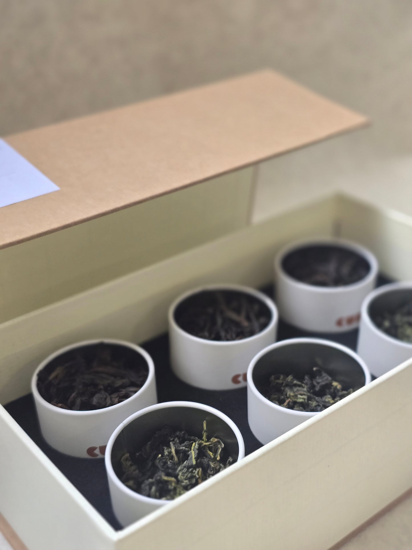 The Curator's Gift Set