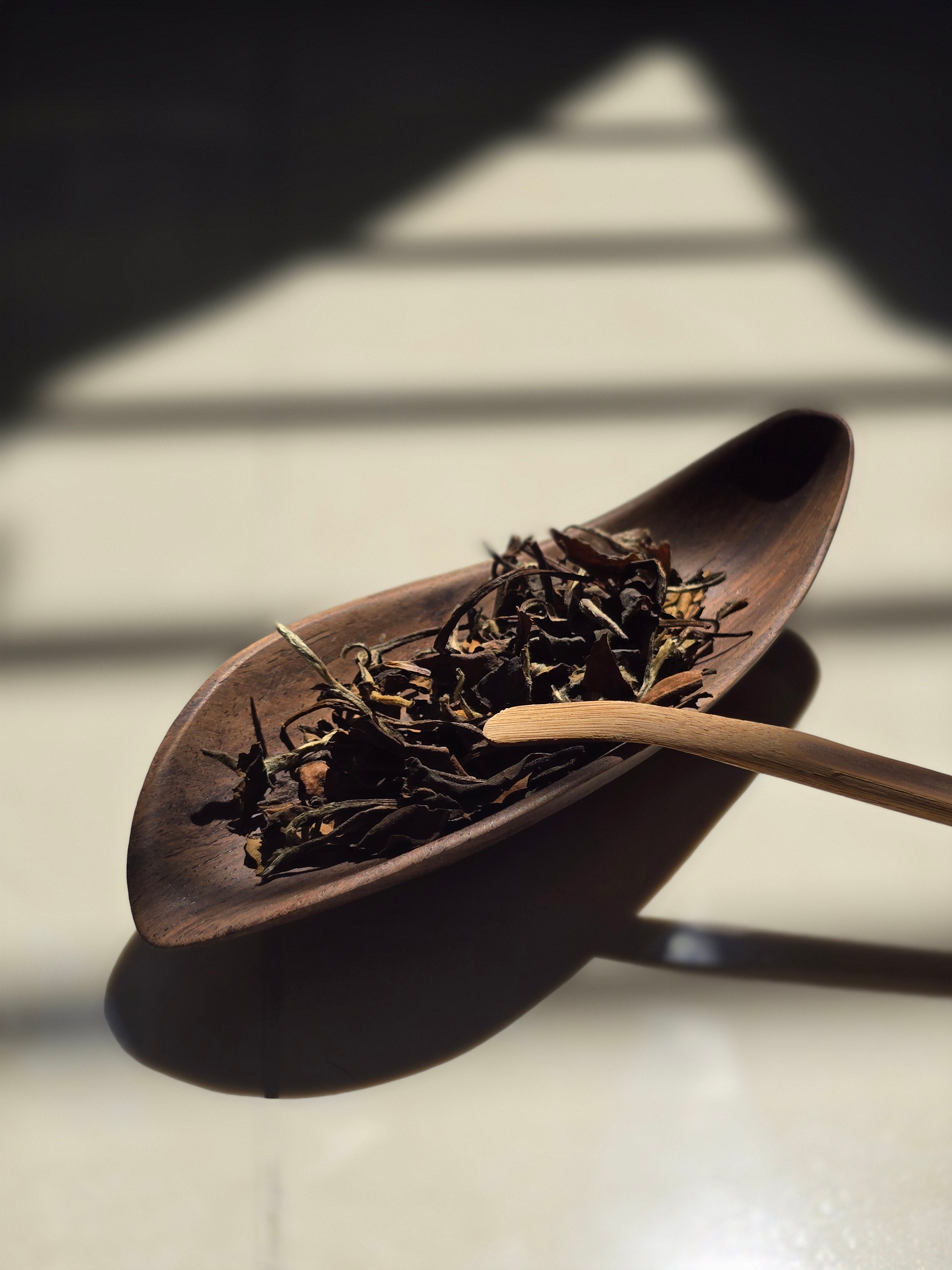 Split The Tea 2015 Aged Lao Bai Cha (2015 LBC) – Curate Tea