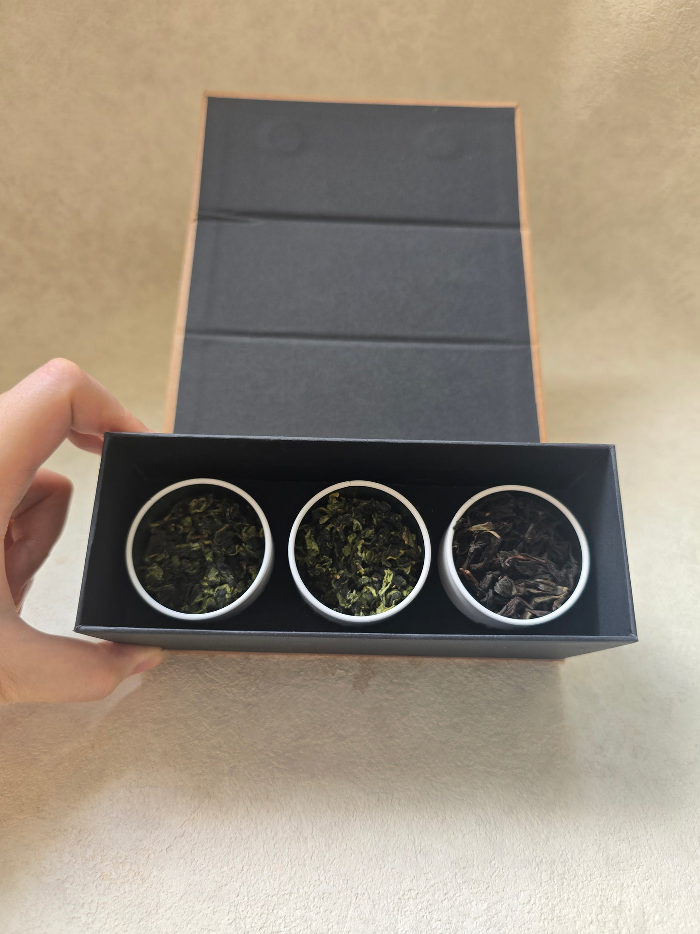 The Curator's Gift Set