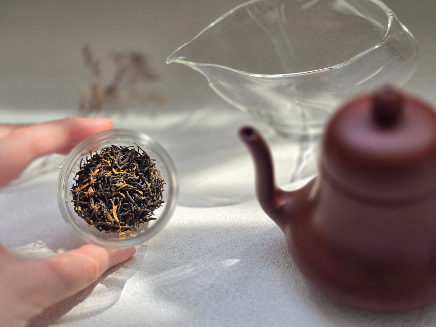 Ya’an Mengding Red Tea